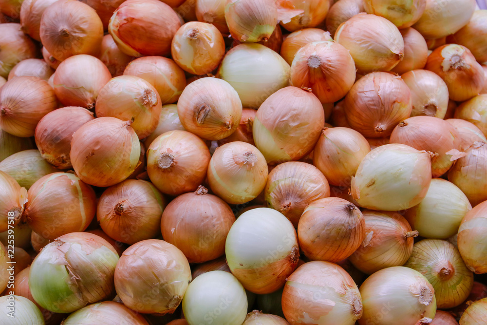 Texture and background of colorful onions. Texture and background of colorful onions.