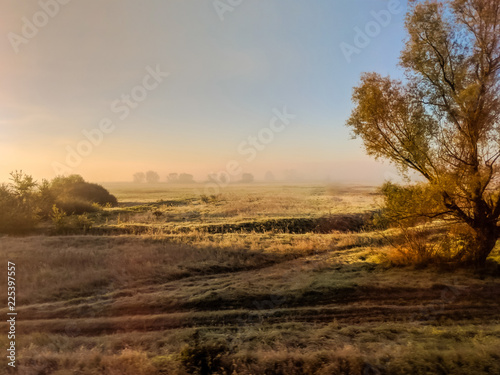 Field during the morning in the autumn season