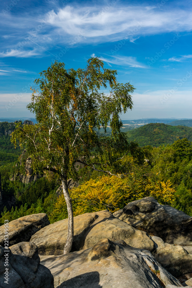 Wildnis des Elbsandsteingebirges, Sachsen, Deutschland Wildnis des Elbsandsteingebirges, Sachsen, Deutschland