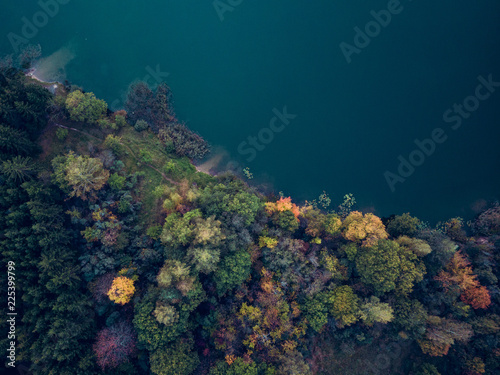 Curved shore of a lake with colourful forest in autumn from drone perspective