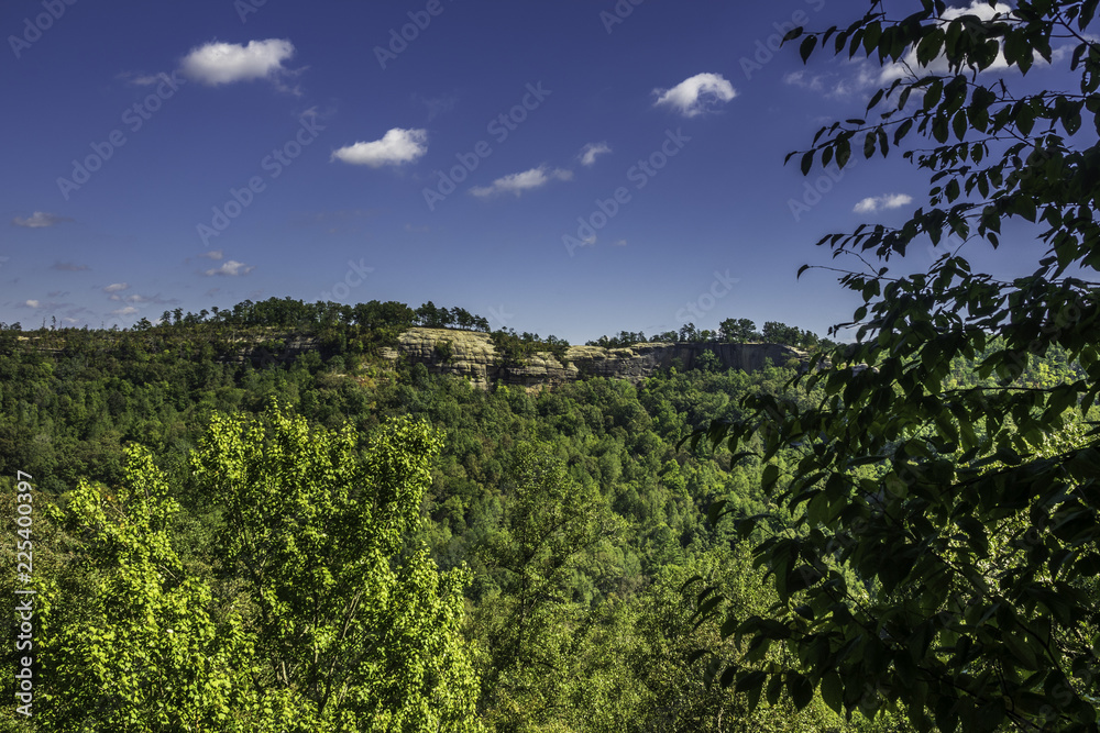 mountain top with rocky cliffs and forest under a blue sky with puffy clouds