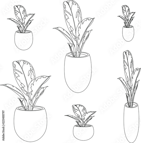 Black outline of flowerpots with potted flowers
