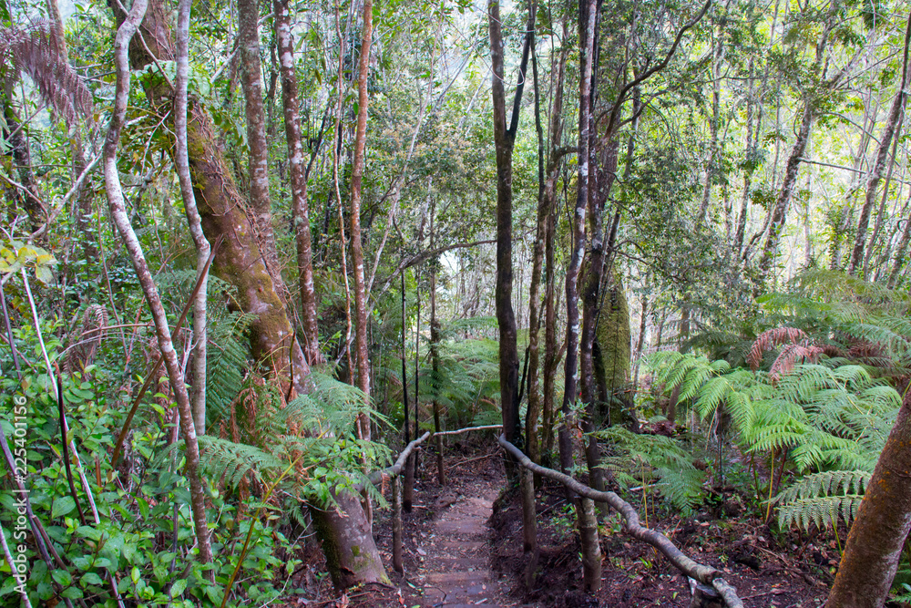 Fototapeta premium Hermoso Paisaje campestre