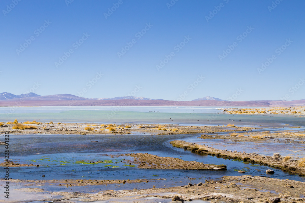 Bolivian lagoon landscape,Bolivia