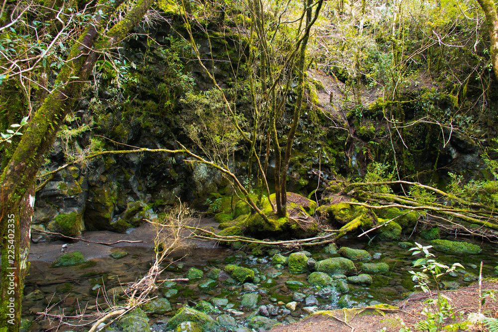 Hermoso Paisaje campestre