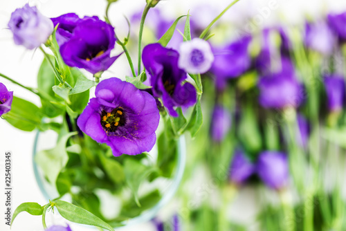 Beautiful Bouquet of Purple Eustoma flowers, Lisianthus