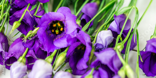 Beautiful Bouquet of Purple Eustoma flowers  Lisianthus