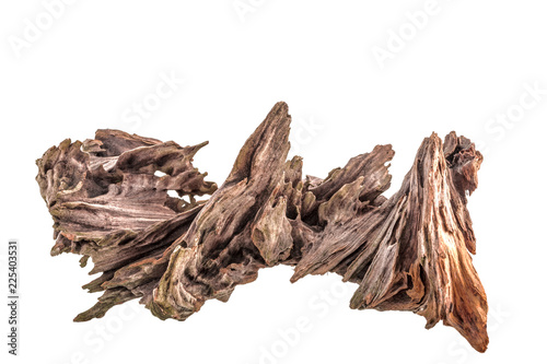 dry snag of a coniferous tree, old weathered relief wood isolated on a white background