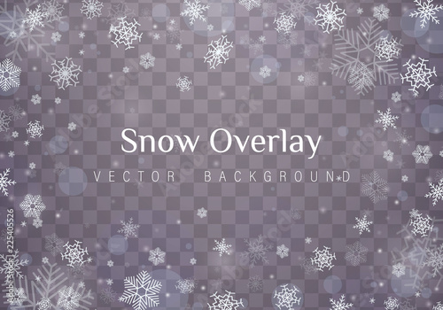 Falling Christmas snow.