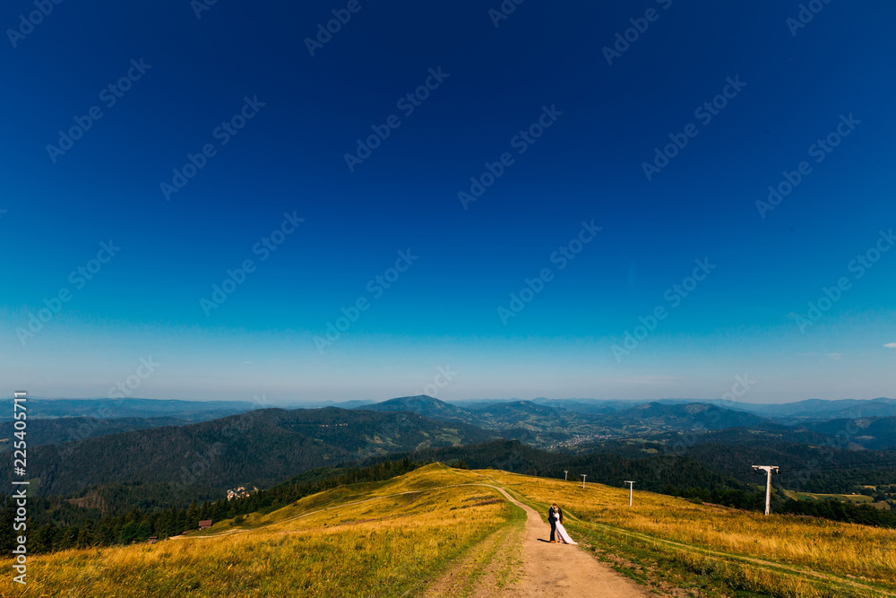 picturesque mountains and cloudless sky. newlyweds kissing on the background of the mountain landscape