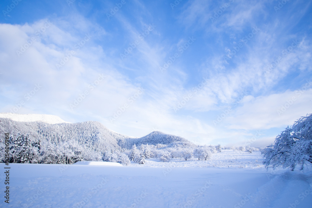 Dreamlike winter wonderland scenic in Tohoku, Japan. Bright blue sky, yet calm wintery day. Majestic, beautiful, truly magical white landscape scenery. Nature's miracle. Christmas season celebration.