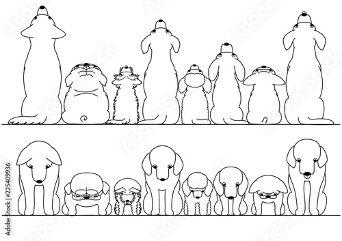 cute dogs looking up and down border set