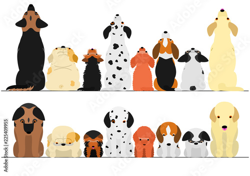 cute dogs looking up and down border set