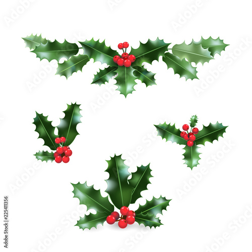 Holly holiday set
