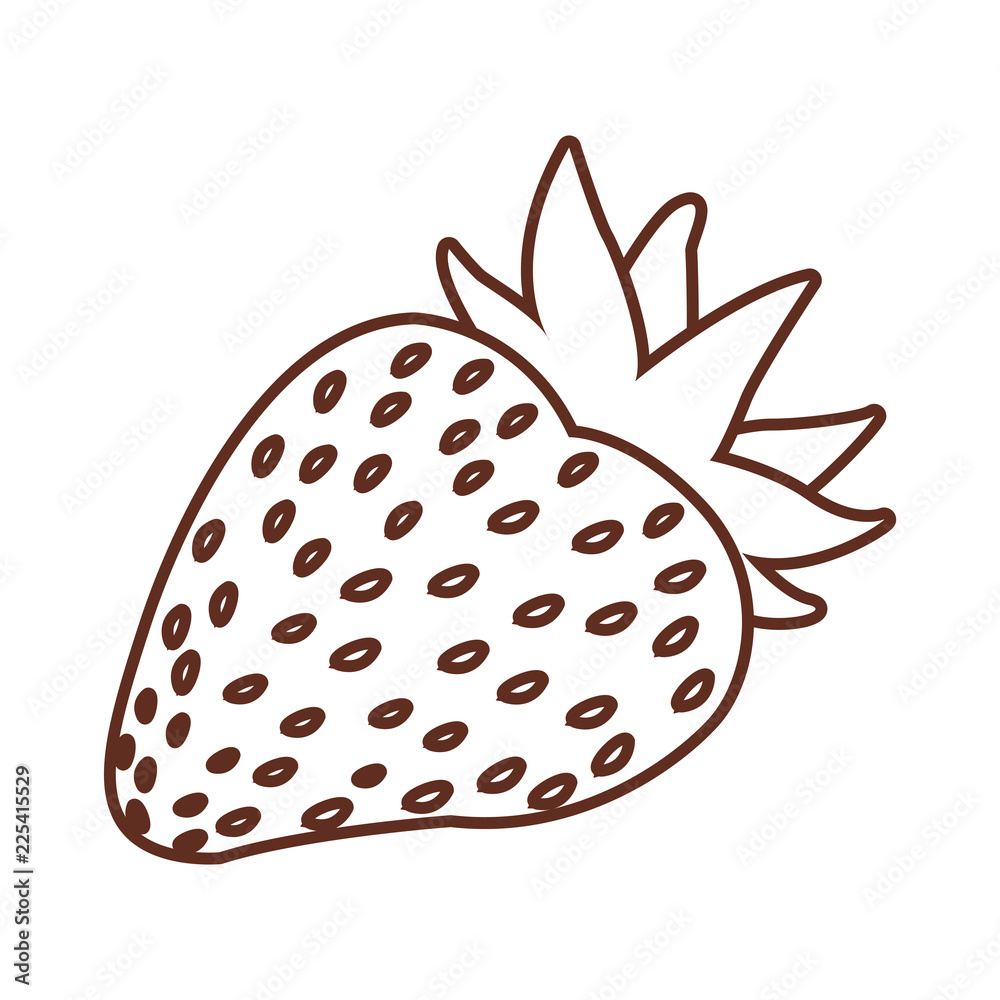 Strawberry fruit isolated Strawberry fruit isolated