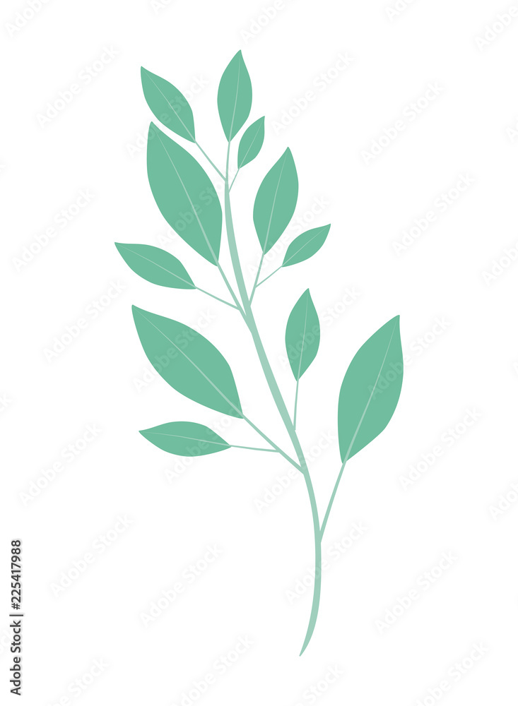 beautiful leaf plant isolated icon