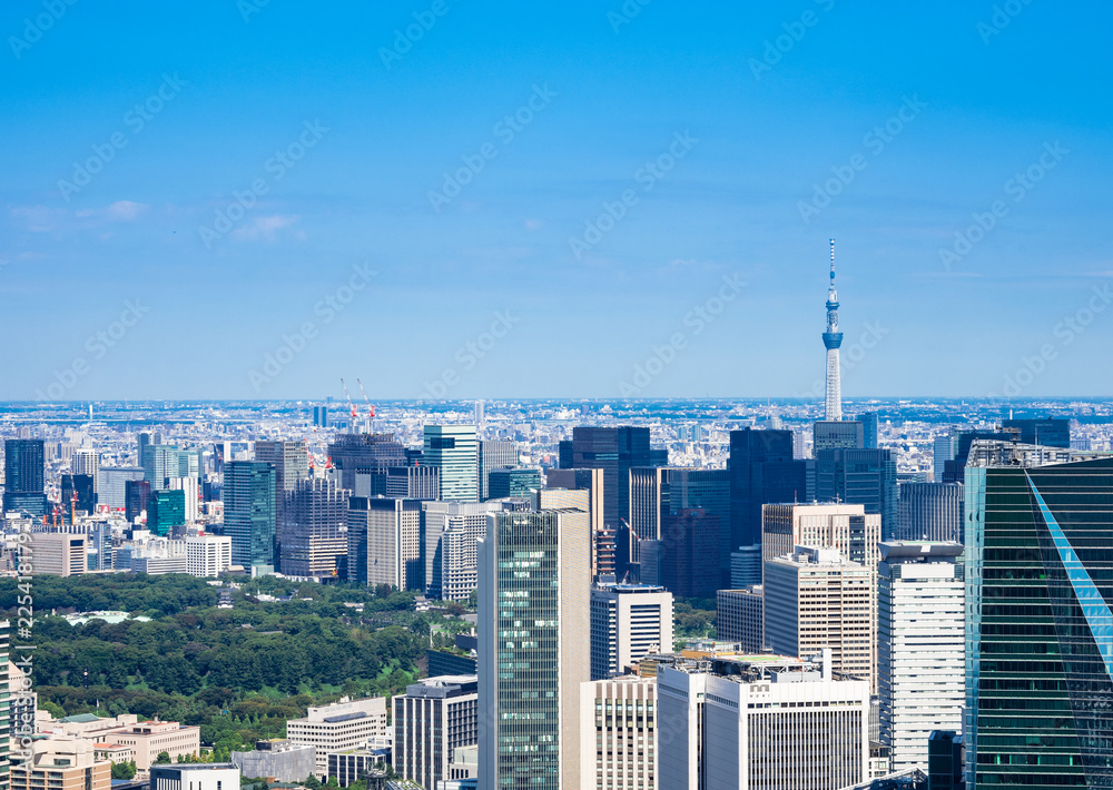 Fototapeta premium 東京 青空と都市風景