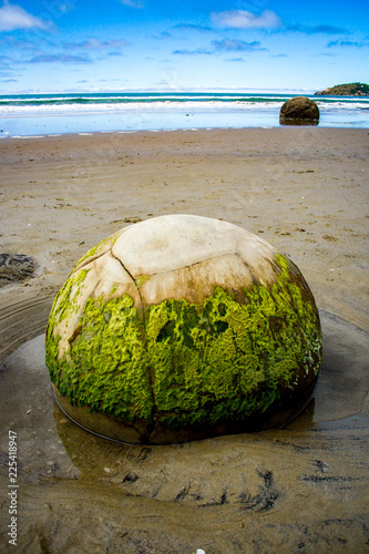 Photo Title: Close up of one of the mysterious round stones that make up the Moeraki b