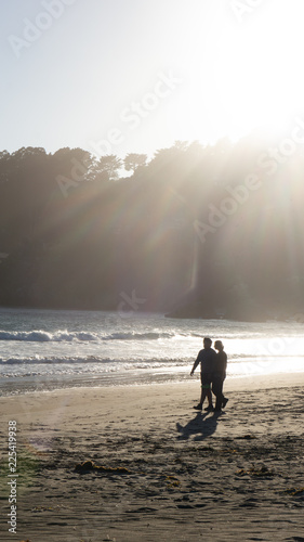 beach meets Forrest silhouette 