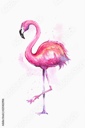 Watercolor exotic flamingo. Summer decoration print for wrapping  wallpaper  fabric  card.  illustration