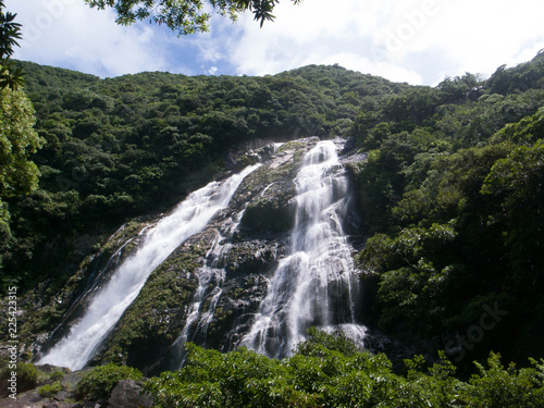 屋久島の滝