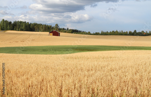 Fototapeta Naklejka Na Ścianę i Meble -  Near Parkano, Finland