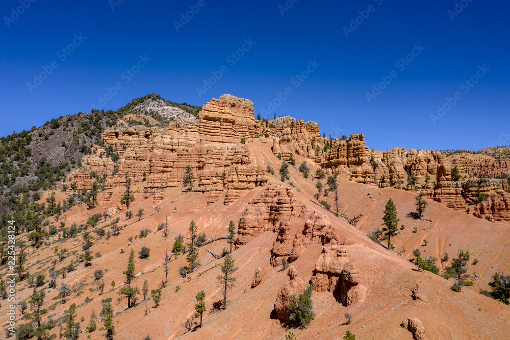 Fototapeta premium Red Canyon - Dixie National Forest