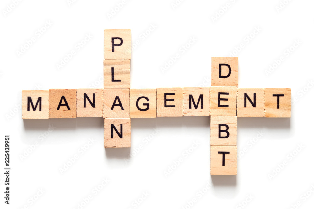 Wood cube text Debt Plan Management on white background Wood cube text Debt Plan Management on white background