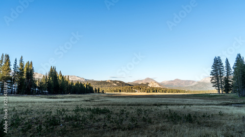 Tuolumne Meadows landscape