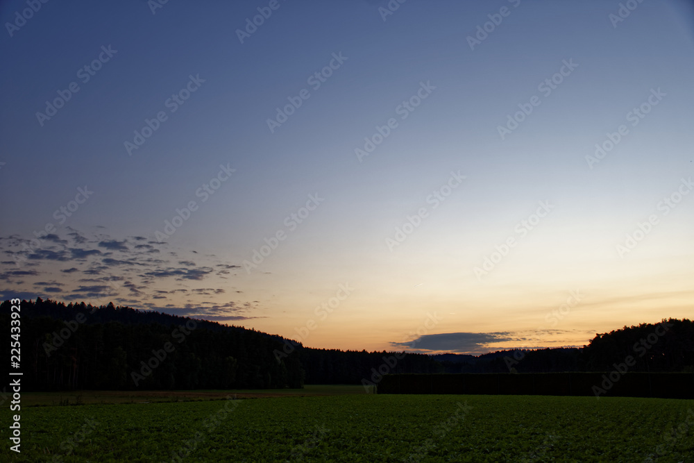 evening sunset over the field and forest evening sunset over the field and forest