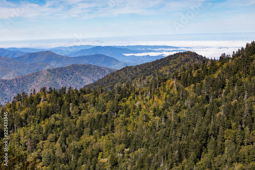 Scenics in the Great Smoky Mountains from Alum Cave trail to Mount Le Conte photo