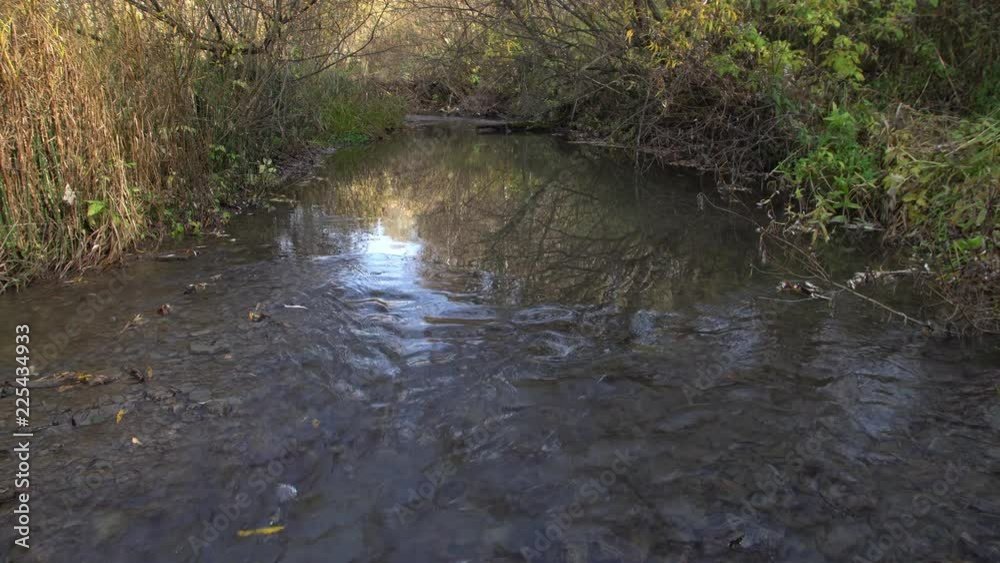 Wild autumn scenery. A small river in the forest flowing over stones Wild autumn scenery. A small river in the forest flowing over stones