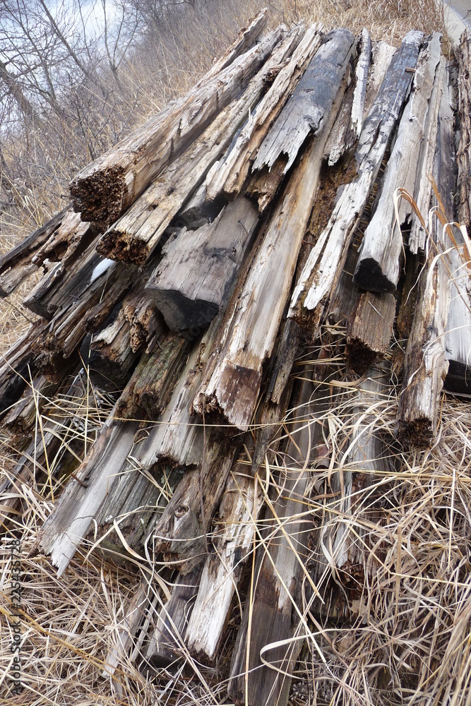 Stacked wood Stacked wood