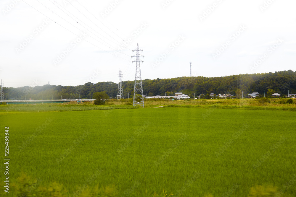 High voltage electrode with rice field