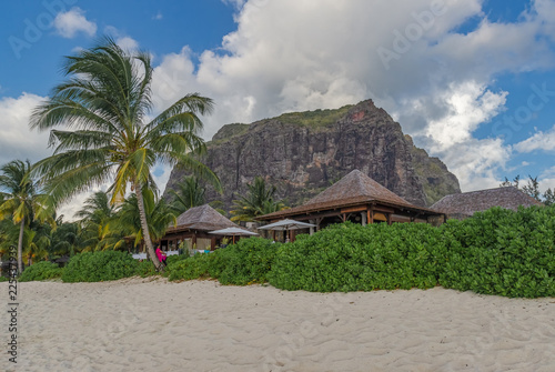 Mauritius ber  hmter Hausberg  der Le Morne Brabant mit Strand und einer Palme im Vordergrund