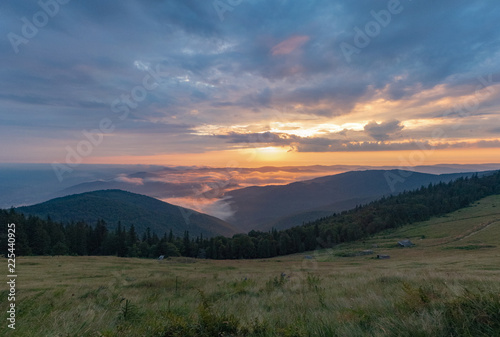Landscape of green mountain pasture, hillsides covered with dense forest of green pines and firs. Sunset in Carpathians mountains in august, west Ukraine. Cloudscape of cumulus. Blurred background