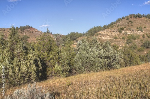 Theodore Roosevelt National Park is in Western North Dakota photo