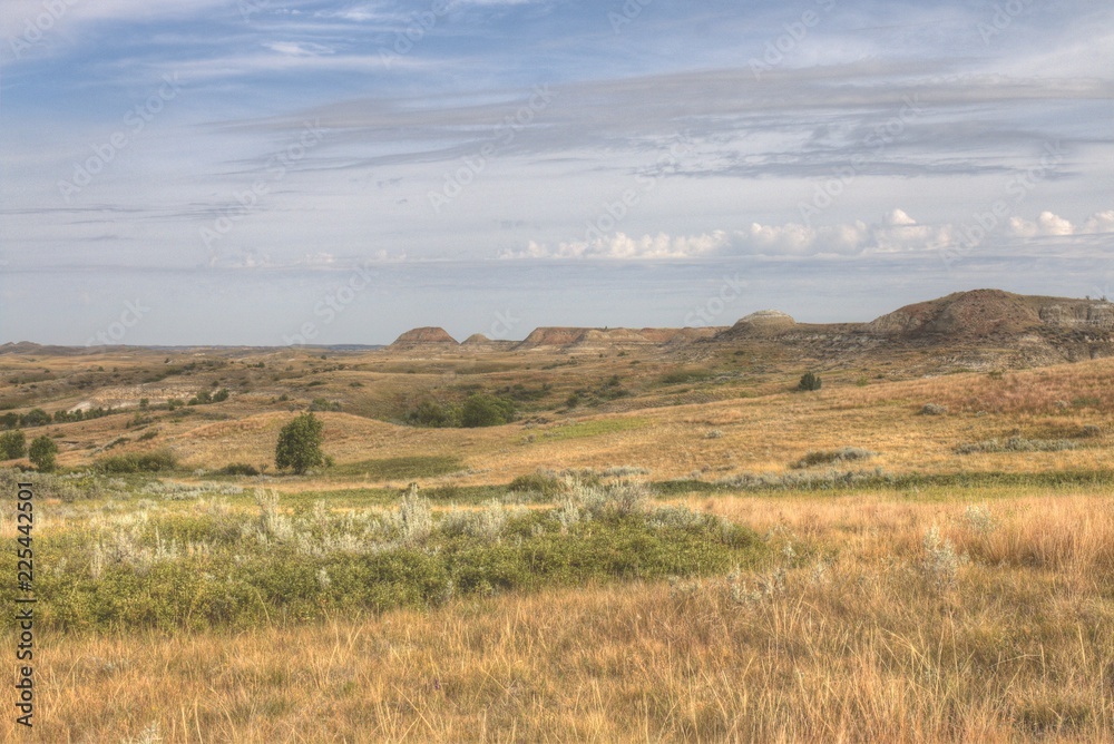 Theodore Roosevelt National Park is in Western North Dakota