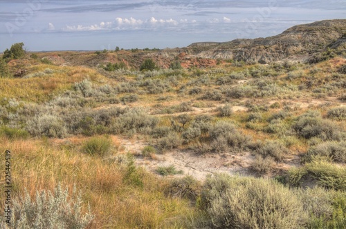 Theodore Roosevelt National Park is in Western North Dakota