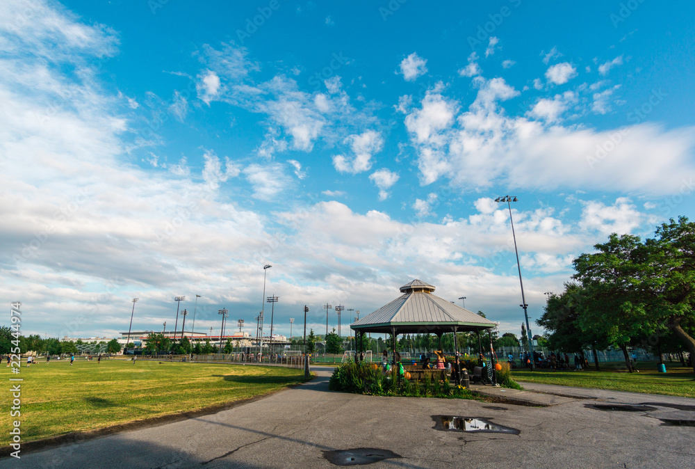 Obraz premium Summer 2018