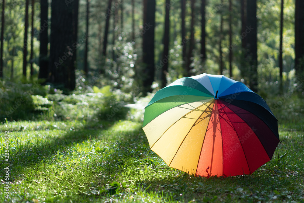 Vibrant colored umbrella on grass in the Rainy weather.