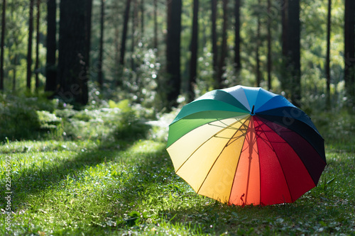 Vibrant colored umbrella on grass in the Rainy weather.