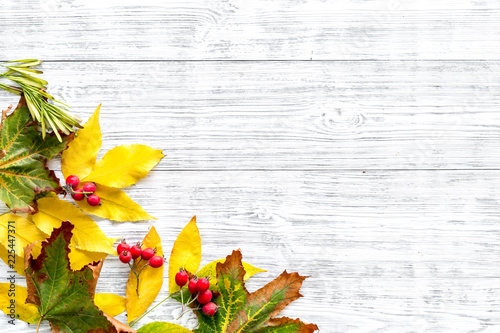 Mockup with bright autumn leaves and berries. Yellow and green leaves, red berries on white wooden background top view copy space
