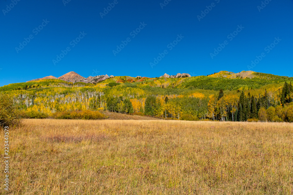 Beautiful Fall Colors in the Colorado Mountains