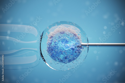 Photos In vitro fertilization of a human female cell on a blue background