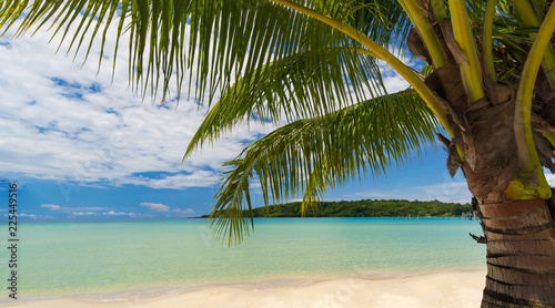 Fototapeta Naklejka Na Ścianę i Meble -  Beautiful tropical beach and sea with coconut palm tree under blue sky