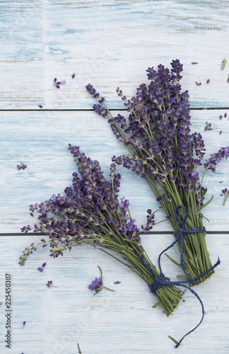 lavender and light background