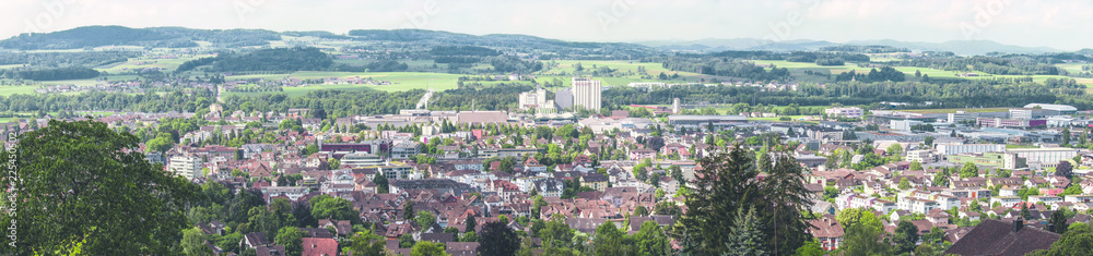 Panoramabild von Weinenden in der Schweiz