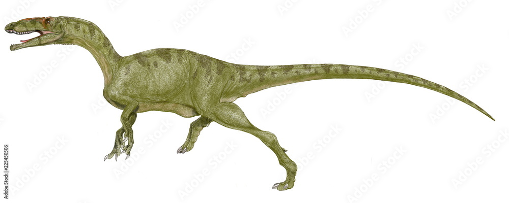 Illustrazione Stock 恐竜 ゴジラサウルス 日本を代表するモンスターであるゴジラのマニアである命名者が学名にその名を冠した 三畳紀後期としては最大級の大きさ であった ディロフォサウルスに近い体型と思われている イラストはジュラ紀に至る以前の肉食恐竜として