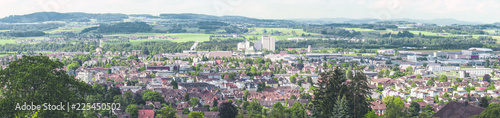 Panoramabild von Weinenden in der Schweiz photo